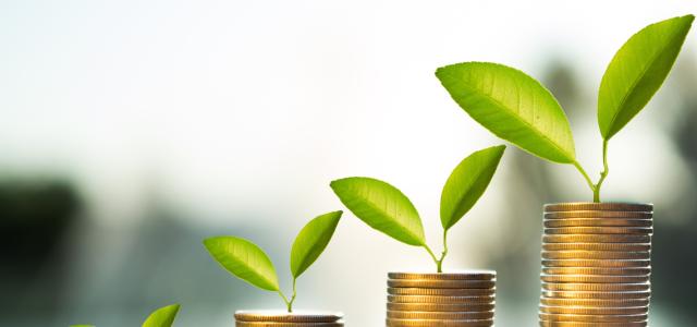Pursue financial and lifestyle goals on your terms